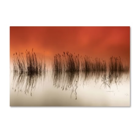 TRADEMARK FINE ART Rui David 'Serenity' Canvas Art, 22x32 1X02449-C2232GG